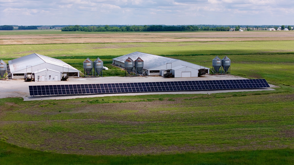 Farm Ground Mounted Solar Array